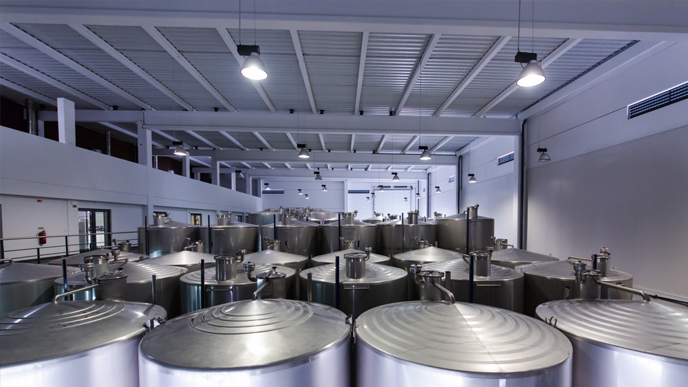 ����z�y(c��)